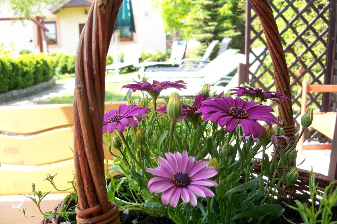D.L.Blazkiewicz Bed & Breakfast Mielno  Ngoại thất bức ảnh